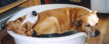 image017