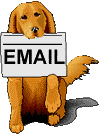 http://home.hetnet.nl/~blancaritzenadriaans/Hond%20M/Hond%20M%20037.GIF